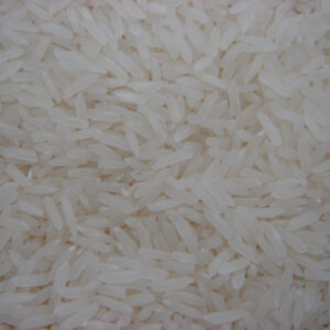 Thai Pathumthani Fragrant Rice